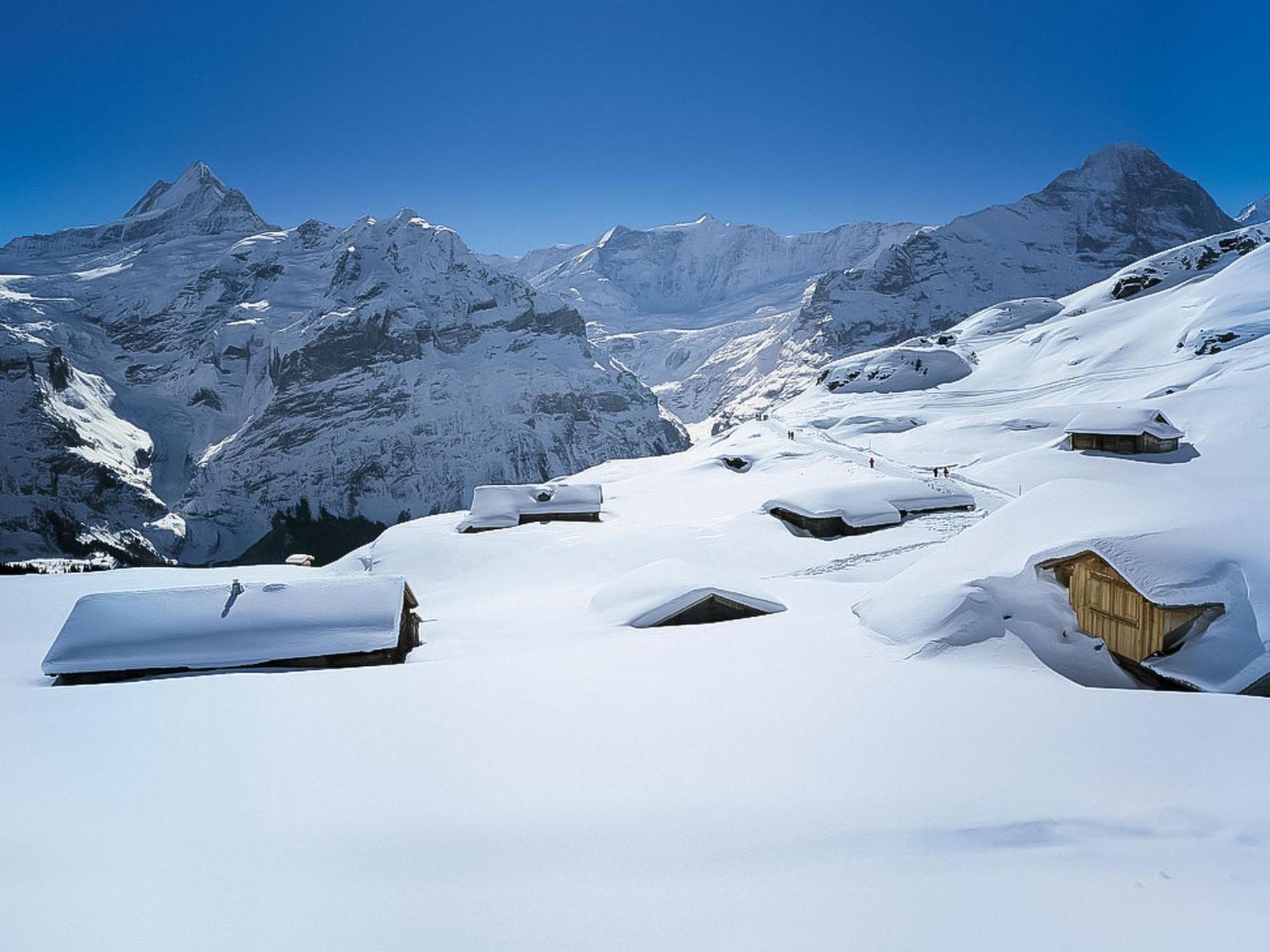 Auf Dem Vogelstein-1 By Interhome Apartamento Grindelwald